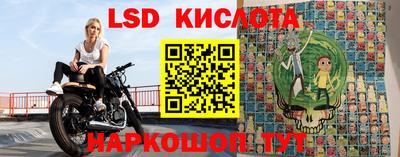 дживик Новозыбков