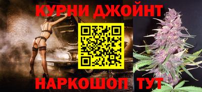 сатива Новодвинск