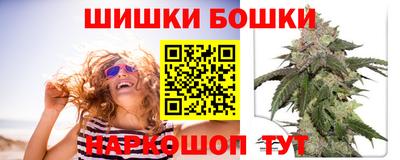 сатива Новодвинск