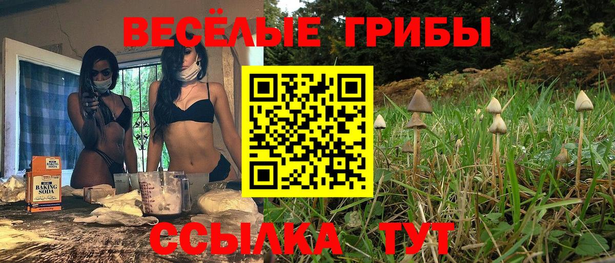 Галлюциногенные грибы мухоморы  Вход с VPN  хочу наркоту  Сокол 